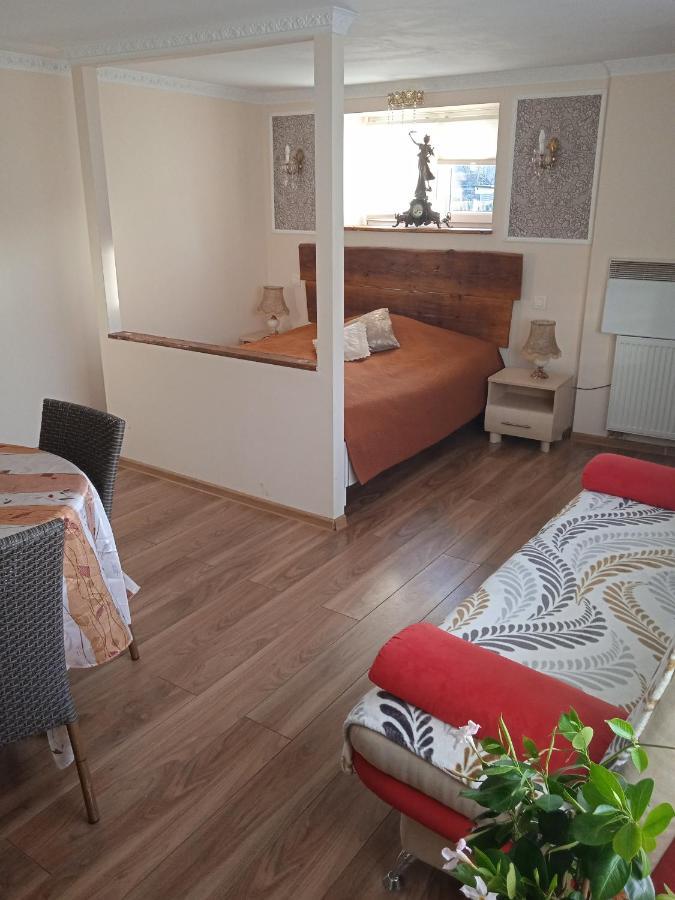 Апартаменты Zamek Ksiaz - 15 Minut 503-608-088 Stare Bogaczowice Экстерьер фото
